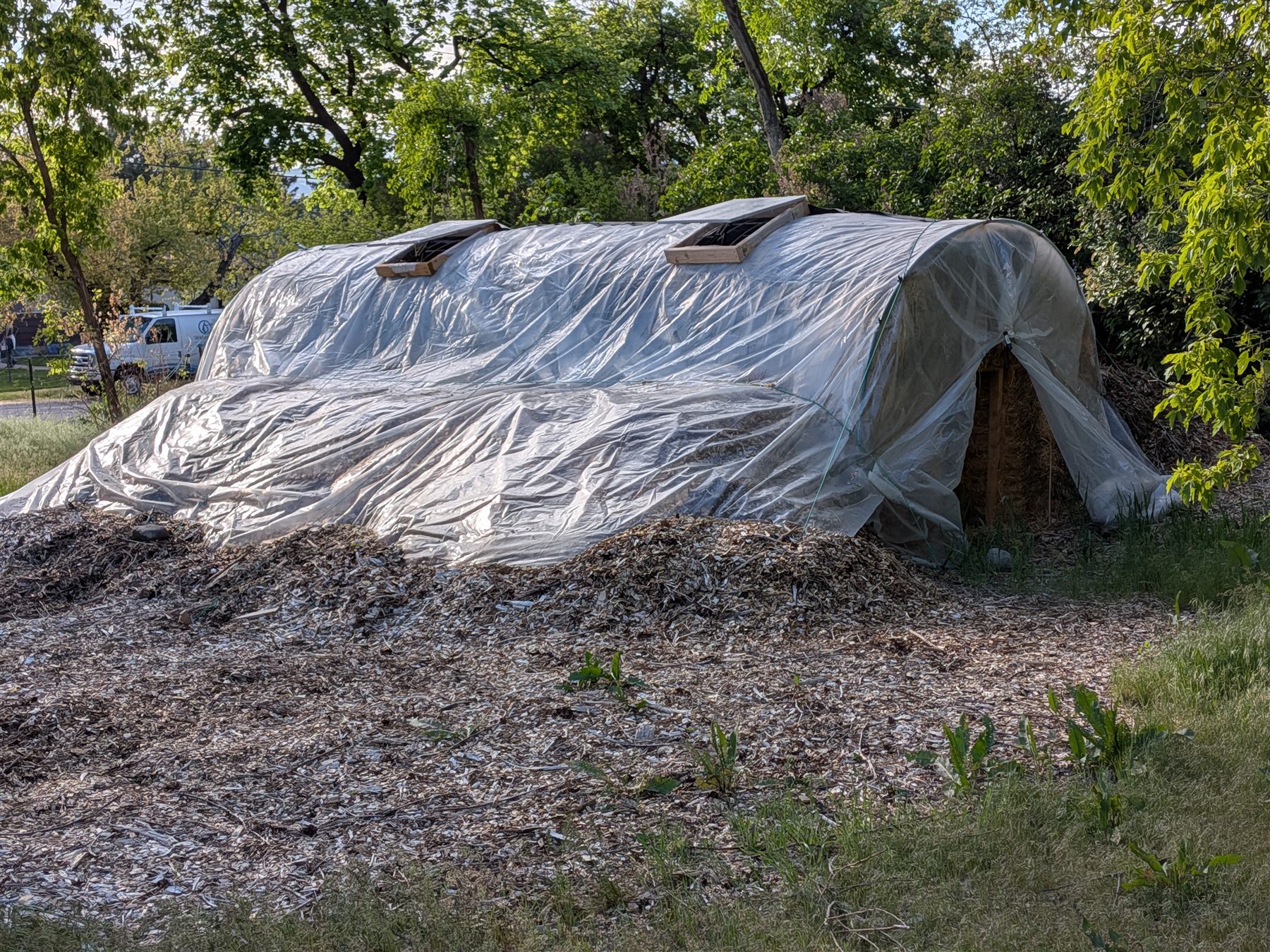 A passive solar greenhouse built from salvaged materials