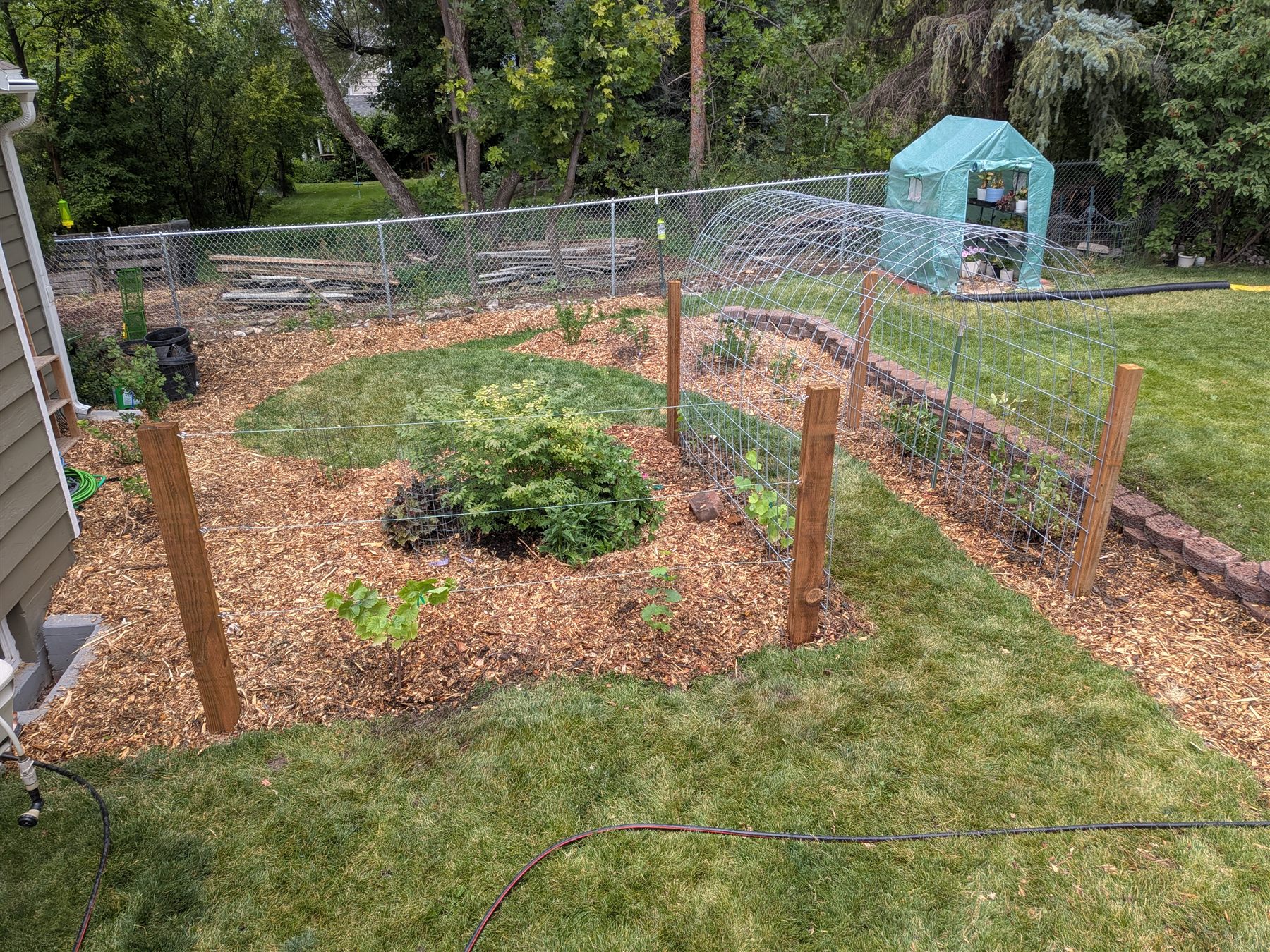 The Berry Garden — freshly planted turf conversion, view 3