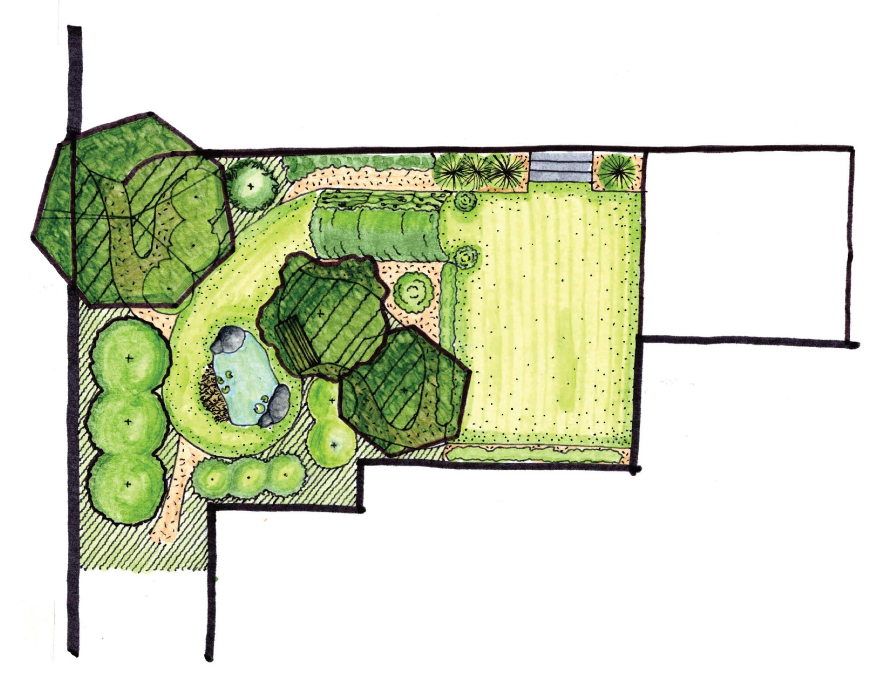 The Berry Garden — freshly planted turf conversion, view 6