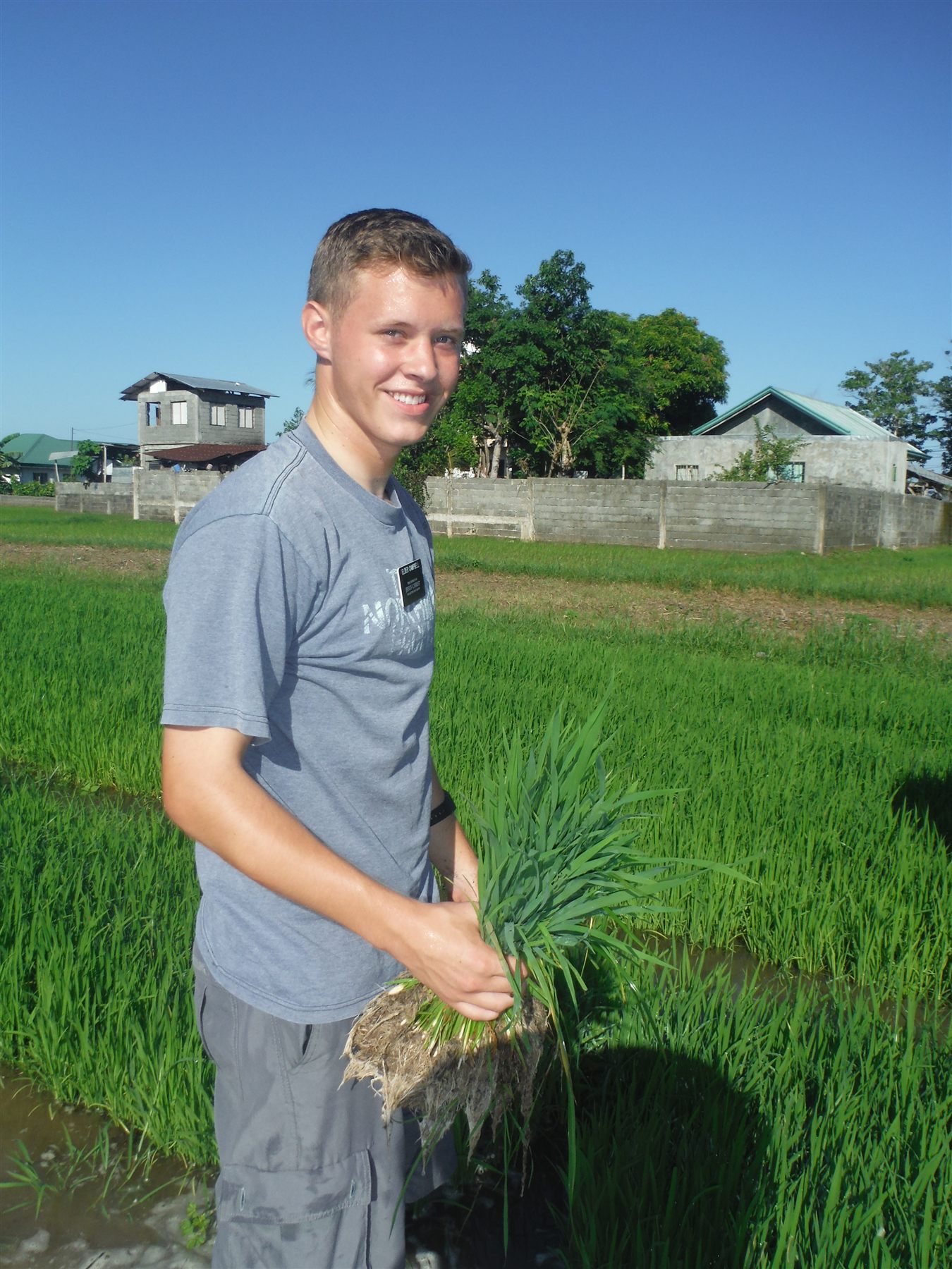 Serving as a missionary in the Philippines, holding rice seedlings in a flooded field